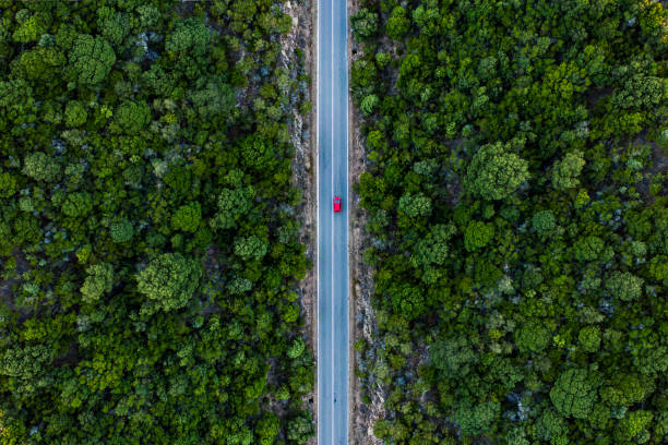 vista aerea di un'auto rossa che corre lungo una strada fiancheggiata da una foresta verde. - asphalt beauty in nature nature scenics foto e immagini stock