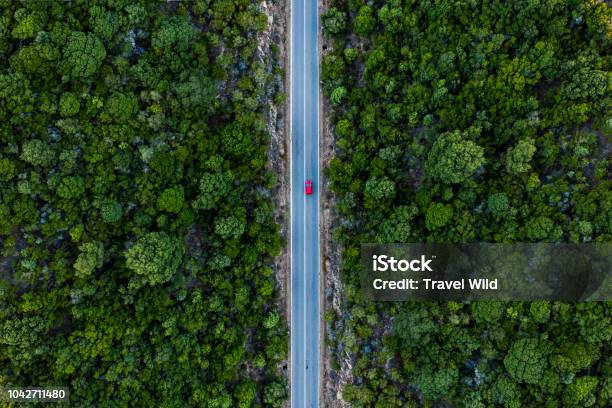 Vista Aerea Di Unauto Rossa Che Corre Lungo Una Strada Fiancheggiata Da Una Foresta Verde - Fotografie stock e altre immagini di Strada