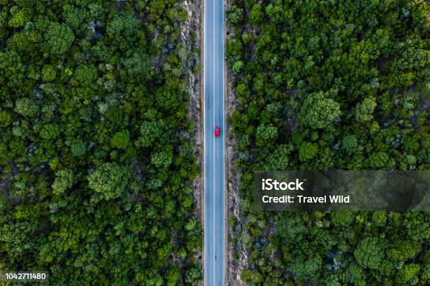 Aerial View Of A Red Car That Runs Along A Road Flanked By A Green Forest Stock Photo - Download Image Now