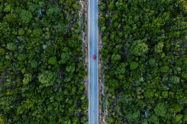 Photo of Aerial view of a red car that runs along a road flanked by a green forest.