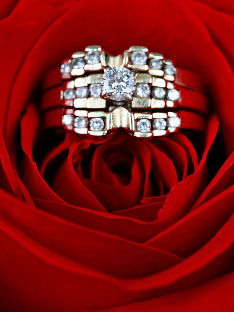 Wedding Ring in rose stock photo