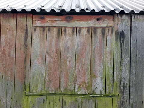 close up of faded weathered planks on a rustic shed or farmhouse barn or outbuilding with green moss and traces of old red paint and metal roof