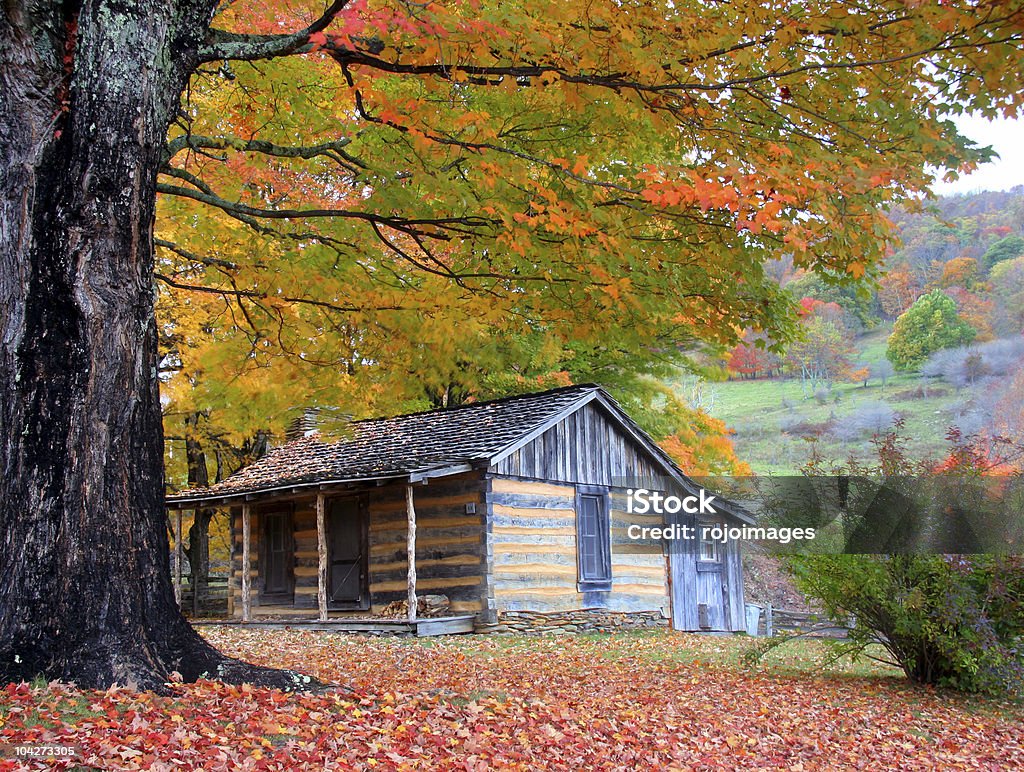 Cabine en haute saison de l'automne - Photo de Automne libre de droits