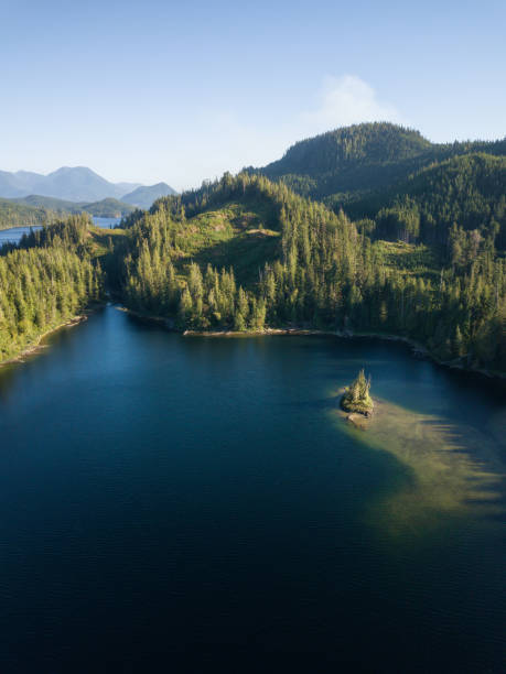 istock Aerial view of Alice Lake 1042733802