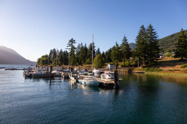 istock Port Alice Aerial View 1042734104