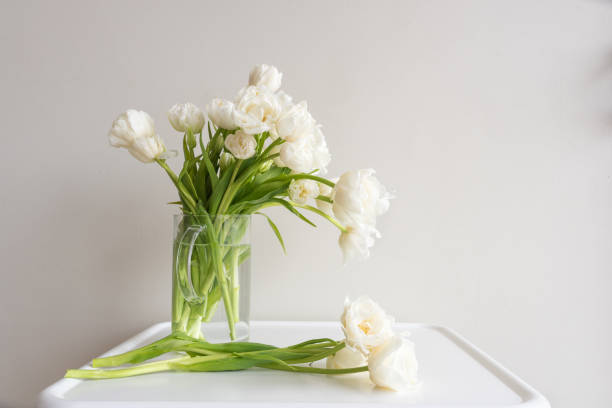 istock White double tulips in glass jug and resting on table 1042737884