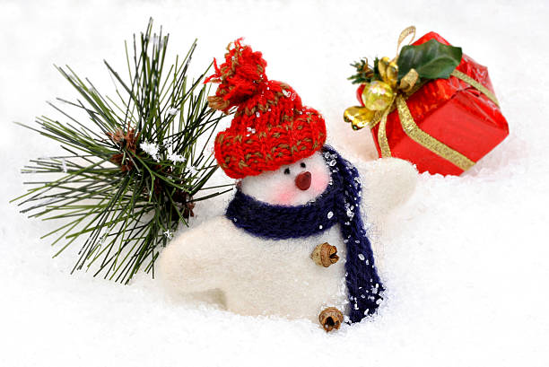 istock Wooly Snowman in Snow with Tree and Gift 104273933