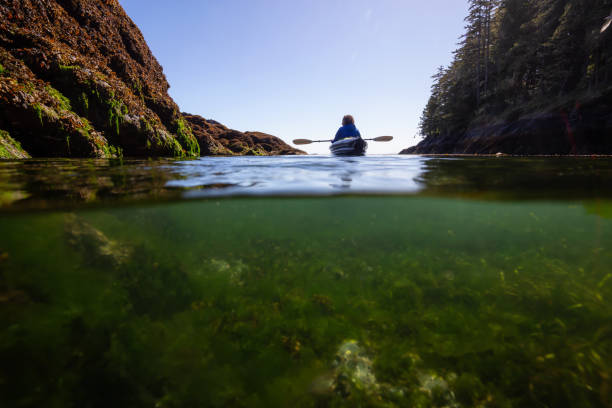 Over and Under picture of anAdventurous woman kayaking in the Pacific Ocean during a sunny morning. Taken in Port Hardy, Vancouver Island, BC, Canada.