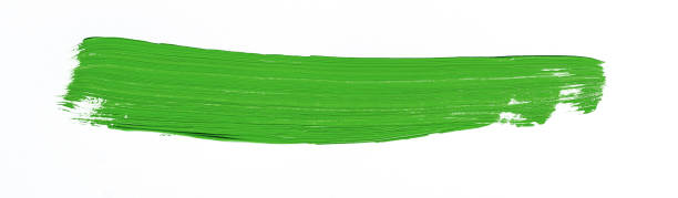 istock Painting of different colors 1042742944