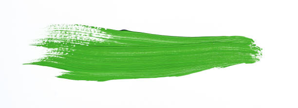 istock Painting of different colors 1042745604