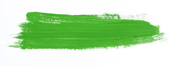 istock Painting of different colors 1042746066