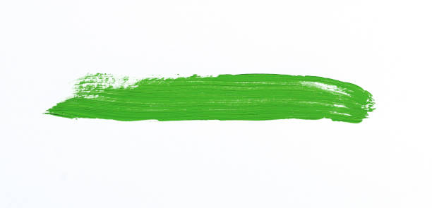 istock Painting of different colors 1042746068