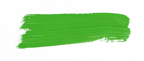 istock Painting of different colors 1042746126