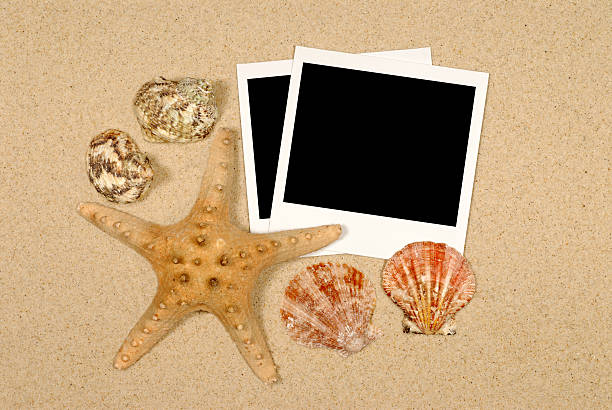 istock Seashore scene with starfish and instant photo prints 104274901