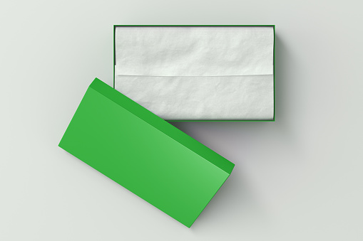 Green shoe box container on white background with wrapping paper. Packaging mockup. 3d illustration