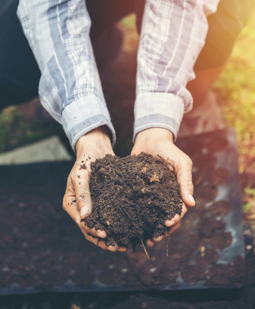 istock female farmer holding soil arable ploughed dirt in cupped hands 1042760284
