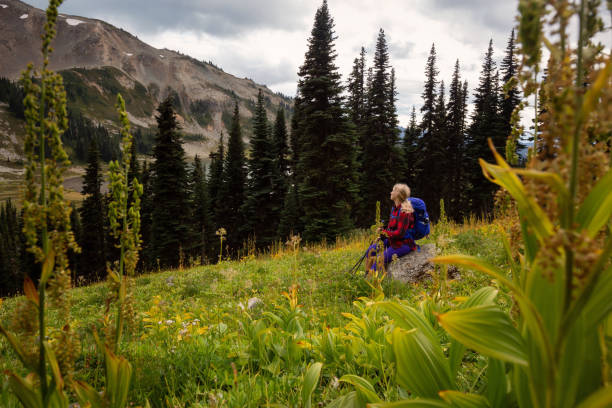 istock Adventurous Woman in Nature 1042760466