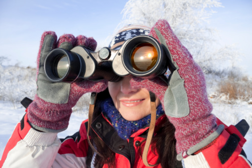 Coin Operated Binoculars on the Background of Winter Landscape
