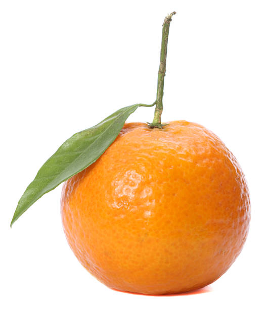 istock Tangerine isolated on white background 104276297