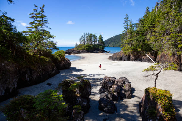 istock San Josef Bay in Vancouver Island, BC 1042765958