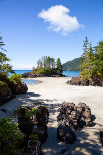 istock San Josef Beach in Vancouver Island 1042765968