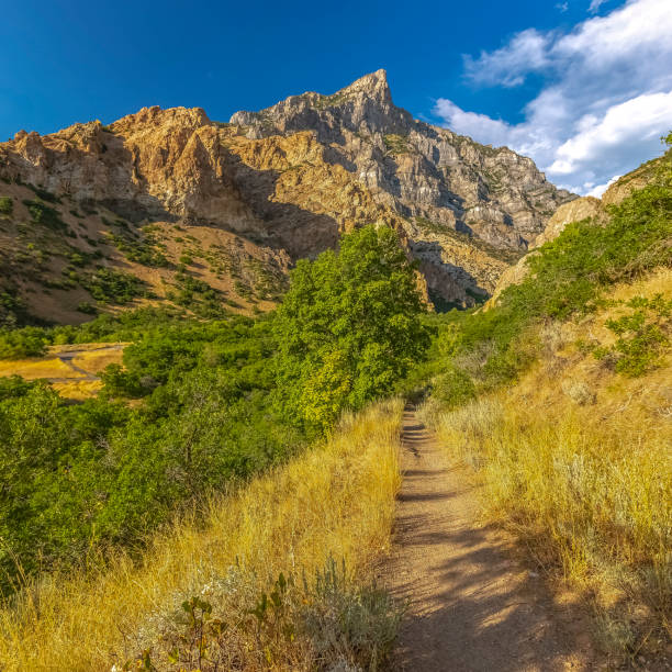 Narrow hiking trail in Provo Utah at sunset Narrow hiking trail in Provo Utah at sunset. Narrow hiking trail amidst the lush foliage in Provo, Utah at sunset. The trail leads deep in to the rugged Utah Valley with vast sky and clouds overhead. provo stock pictures, royalty-free photos & images