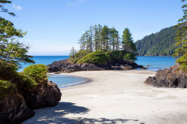 istock San Josef Beach in Vancouver Island 1042766072