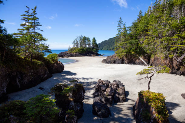 istock San Josef Beach in Vancouver Island 1042766078