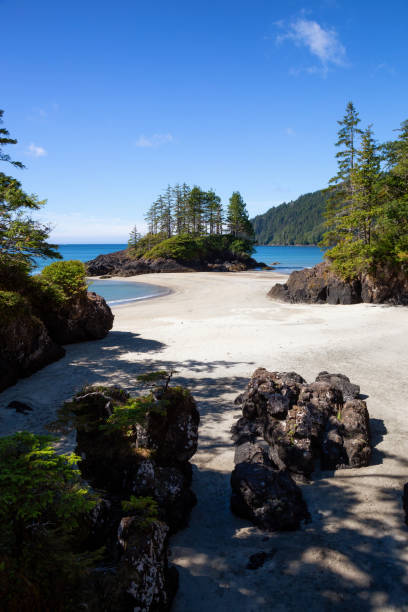 istock San Josef Beach in Vancouver Island 1042766108