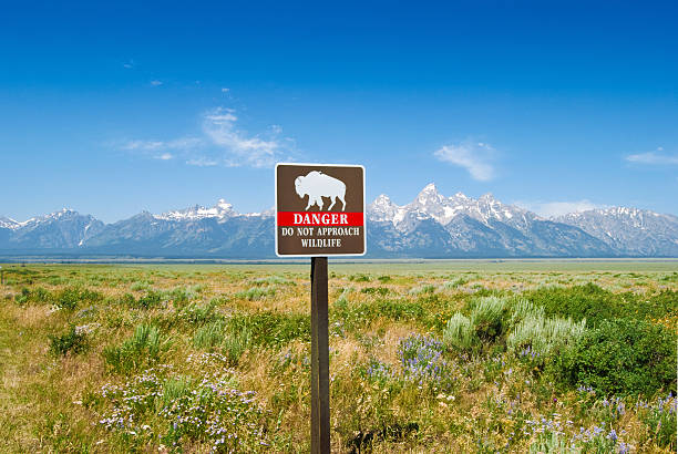 istock Do Not Approach Wild Life Sign 104276998