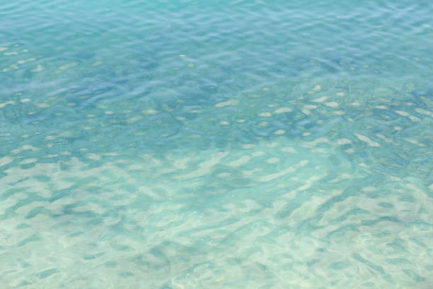 istock clear blue lagoon water background 1042772938
