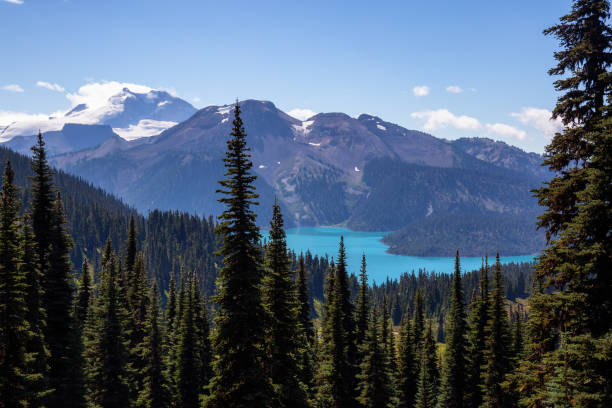 istock Landscape View on Panorama Ridge Hike 1042773206