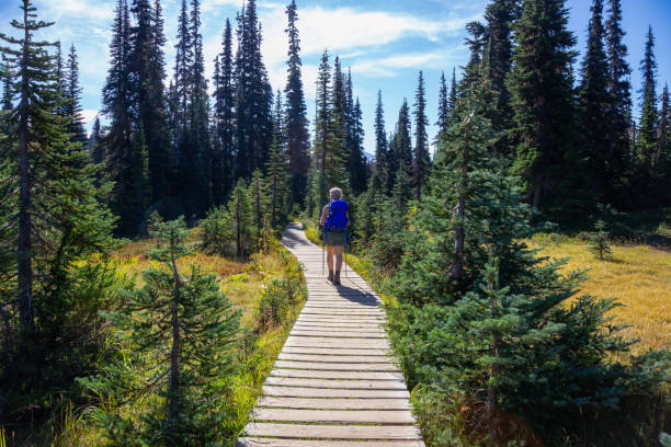 istock Girl Hiking Panorama Ridge in Garibaldi 1042773338