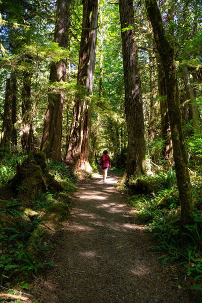 istock San Josef Bay in Vancouver Island, BC 1042773456