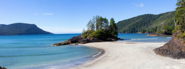 istock San Josef Beach in Vancouver Island, BC 1042785656