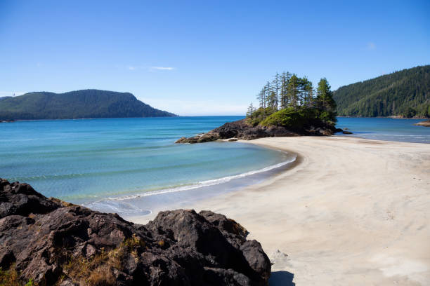 istock San Josef Beach in Vancouver Island, BC 1042785688