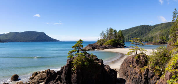 istock San Josef Beach in Vancouver Island, BC 1042785704