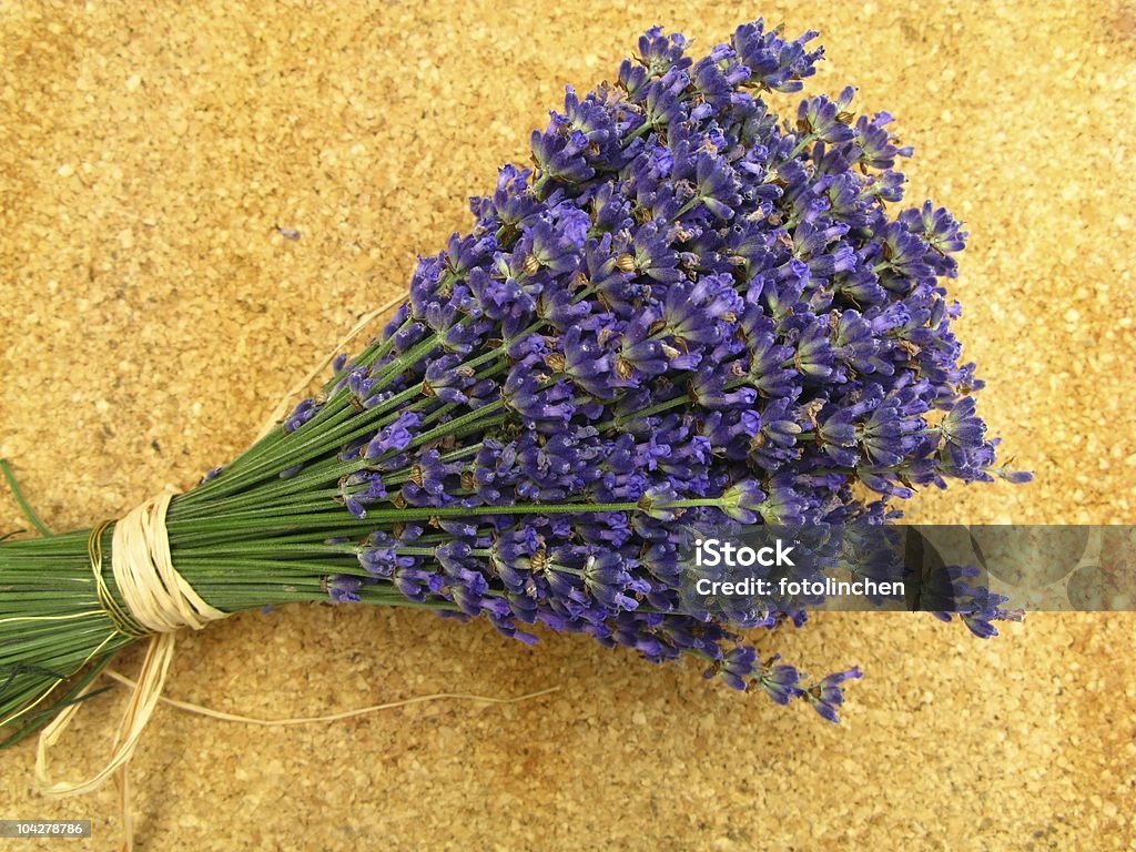 Lavanda - Foto de stock de Buqué libre de derechos