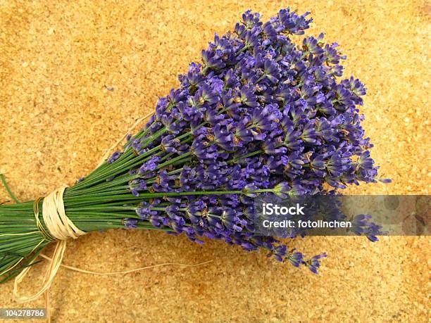 Lavanda Foto de stock y más banco de imágenes de Buqué - Buqué, Color - Tipo de imagen, Color lavanda