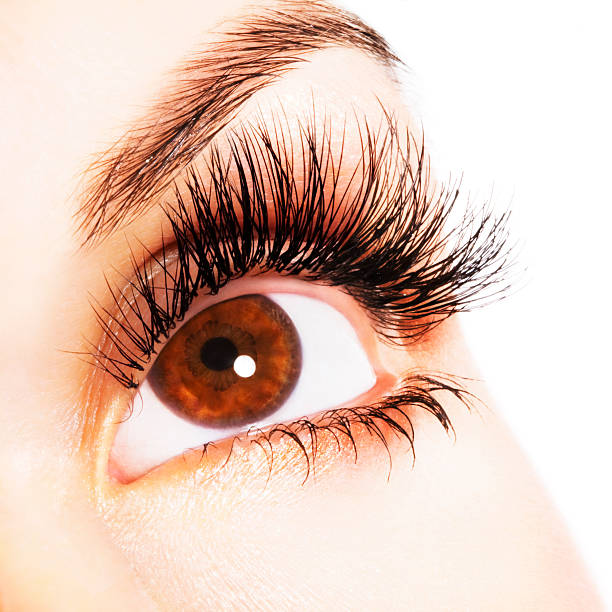 istock Woman eye 104278941