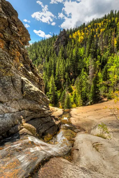 Golden Aspen tree pop on this hillside opposite Bridal Veil Falls on Cow Creek in Rocky Mountain National Park, Estes Park, Colorado.