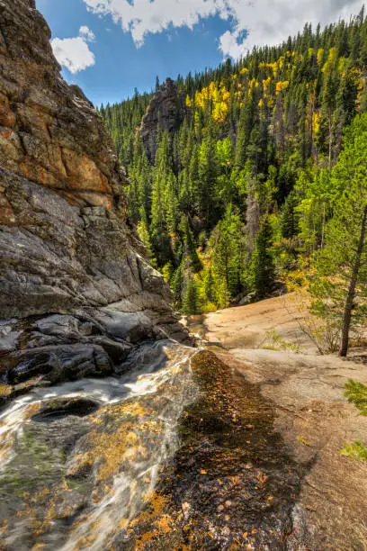 Golden Aspen tree pop on this hillside opposite Bridal Veil Falls on Cow Creek in Rocky Mountain National Park, Estes Park, Colorado.