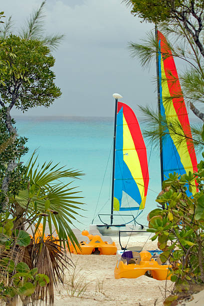 istock Catamaran sailboat on a beach 104279122