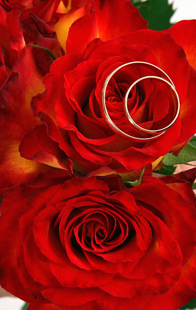 istock wedding rings on red roses 104279246