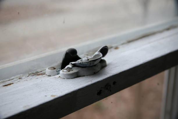 Flies in a stupor on a windowsill. Flies in suspended animation.