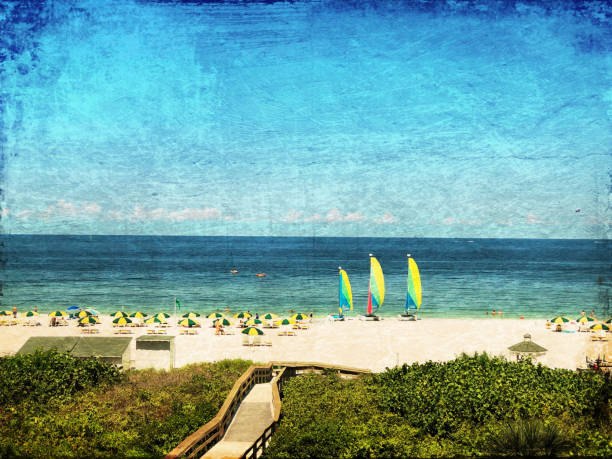 A red Warning Flag on a beach in Cancun in Winter