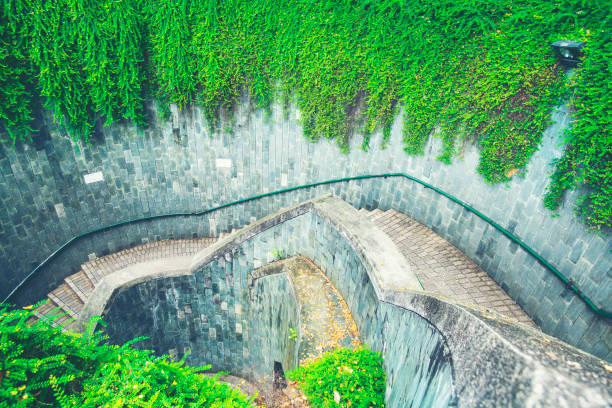 istock A staircase that blends with trees and nature. 1042805648