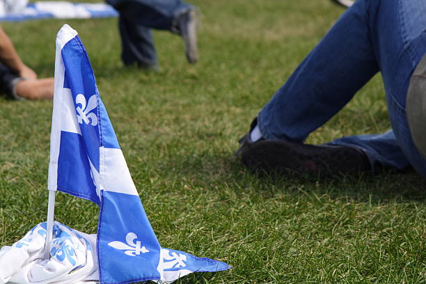 istock Quebec flag during la fete nationale 104280674