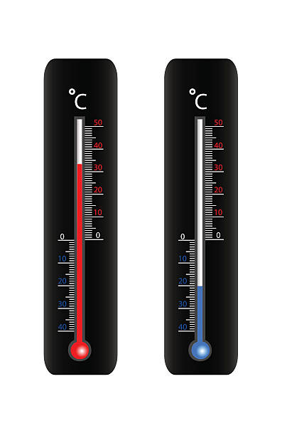 vector black thermometer. vector art illustration