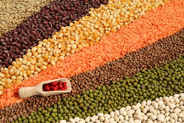 istock Large group of cereal grains arranged 104282893